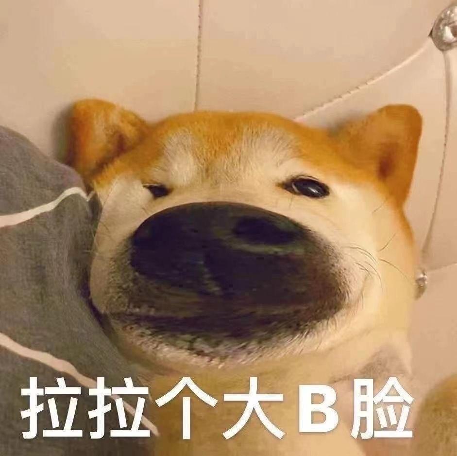 为什么把美国辉瑞新冠药纳入医保,上海将辉瑞新冠药列入医保