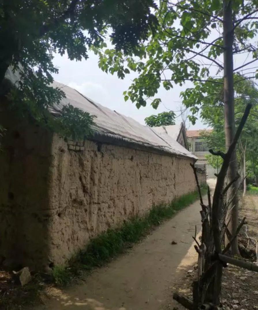 我的前半生电视剧全集免费看,我的前半生电视连续剧