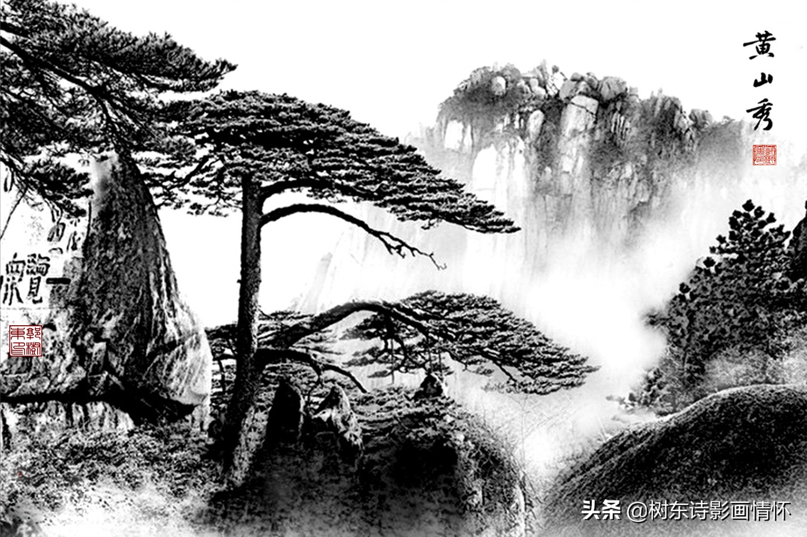 大雪压青松，青松挺且直，松在中华文化中象征着一种精神