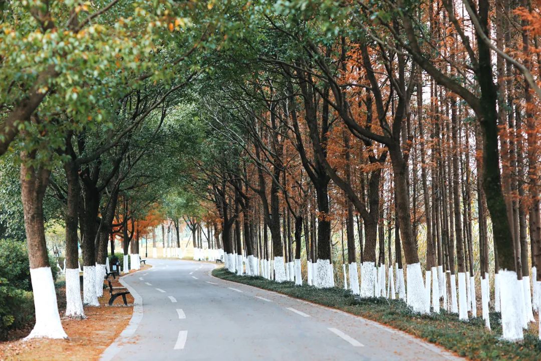 春来夏往，秋收冬藏，带你感受沙家浜的四季，别错过身边的美好