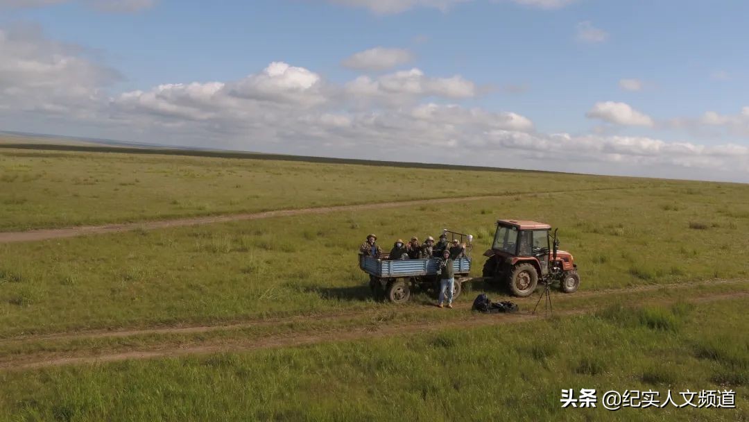 草原的野生动物在哪里,草原看野生动物