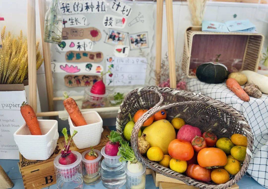 生态环创幼儿园自然角,幼儿园环创自然角实验