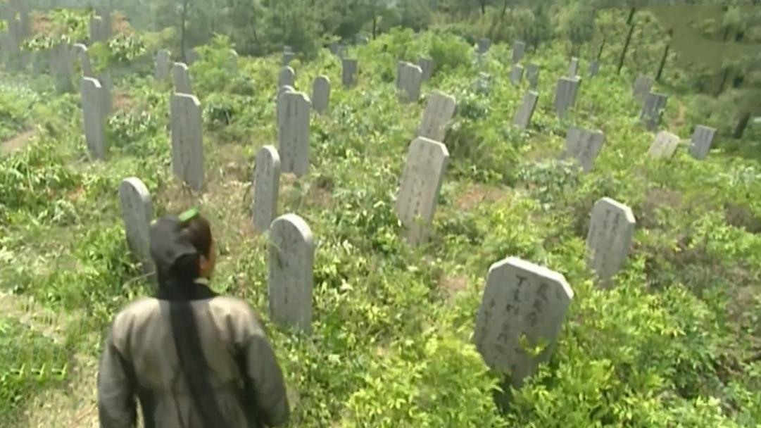 少年包青天2判案,少年包青天2桃源村杀人案大结局