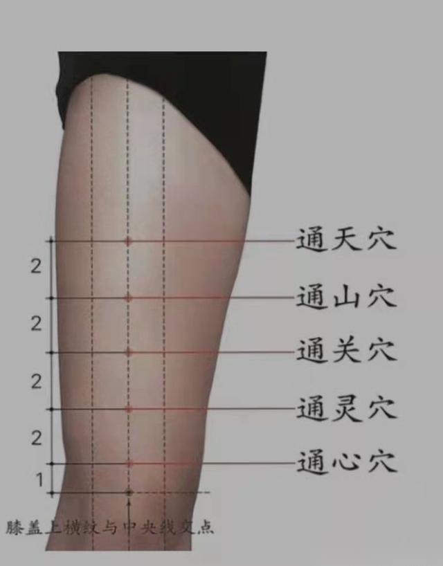 中医经络调理针灸视频,中医针灸规范处方范例