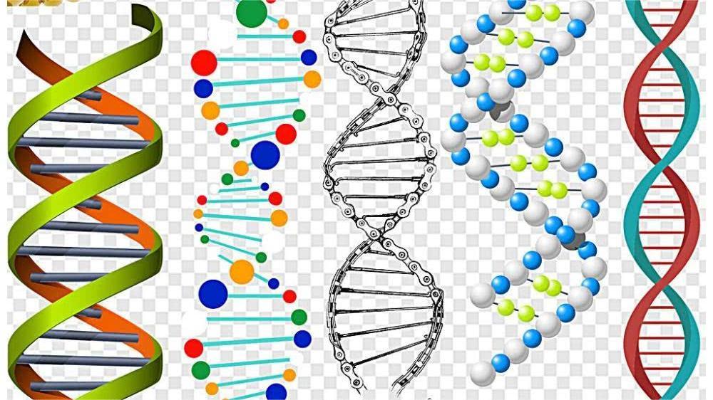 人缺乏蛋白质需要什么食物来补充,人体缺乏蛋白质对神经有哪些影响