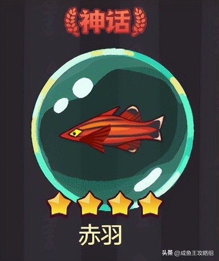 咸鱼之王神秘商店珍珠在哪获得,咸鱼之王珍珠兑换什么最好