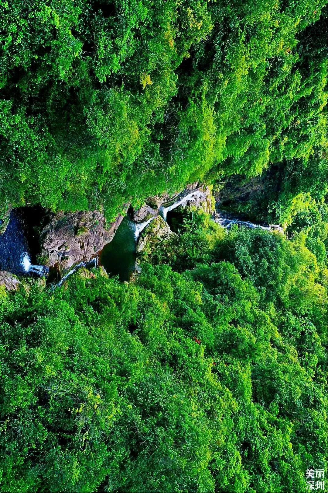 深圳最美公园是什么样子的,深圳市最美公园图片欣赏