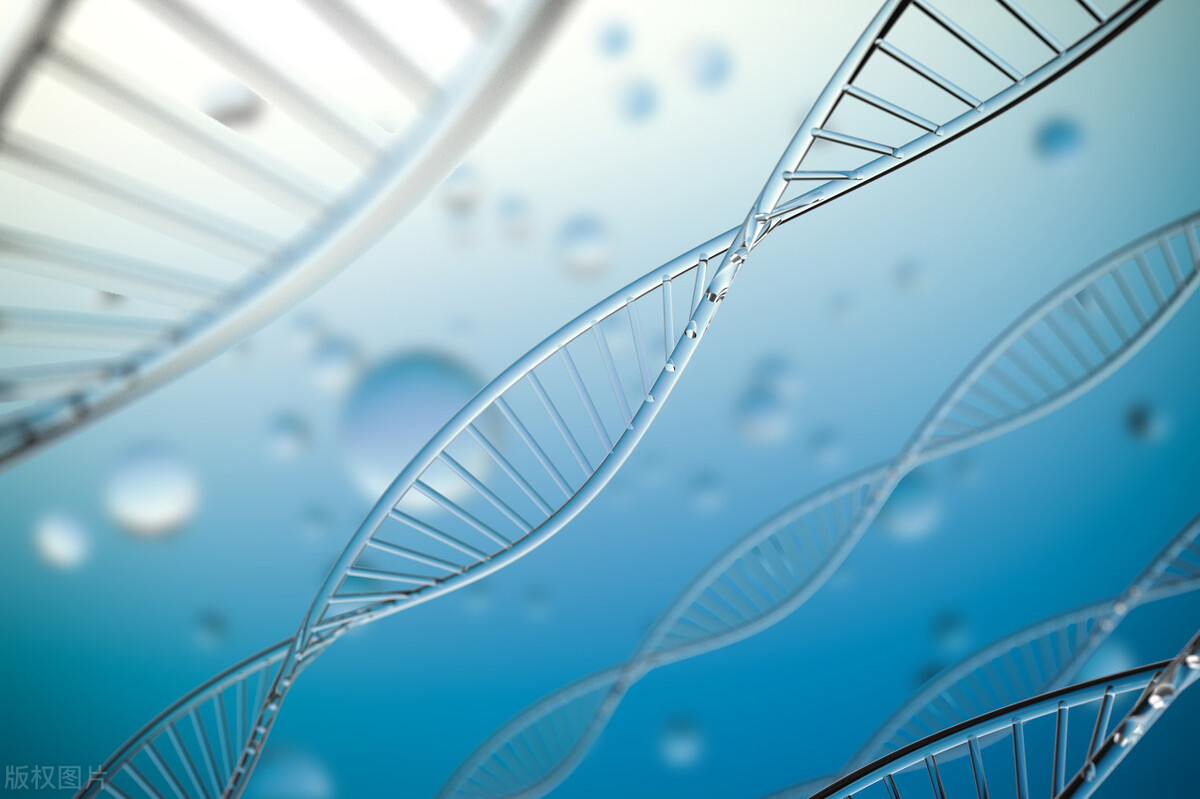 adobephotoshopcs8.01安装教程,adobephotoshop2020安装教程