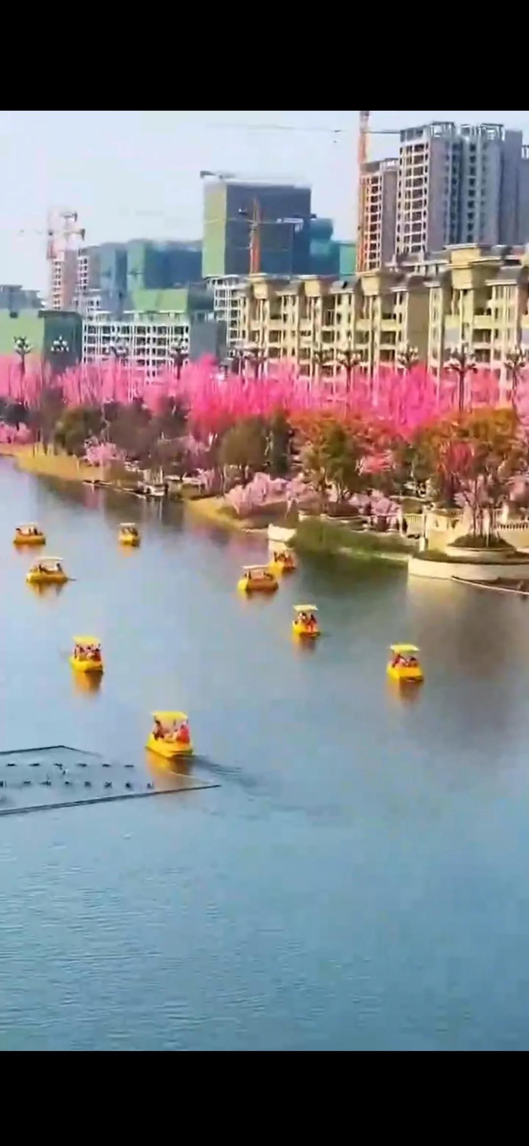 巴川中学重庆第一吗,成都巴川中学怎么样