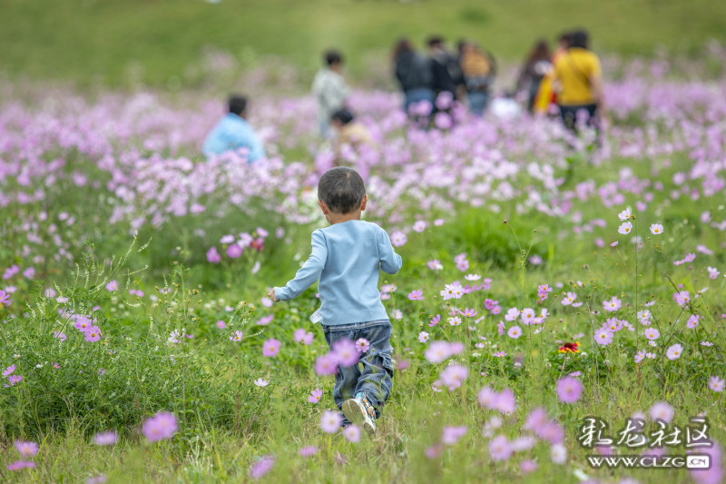 云南昆明生态旅游,昆明官渡区生态文化新城