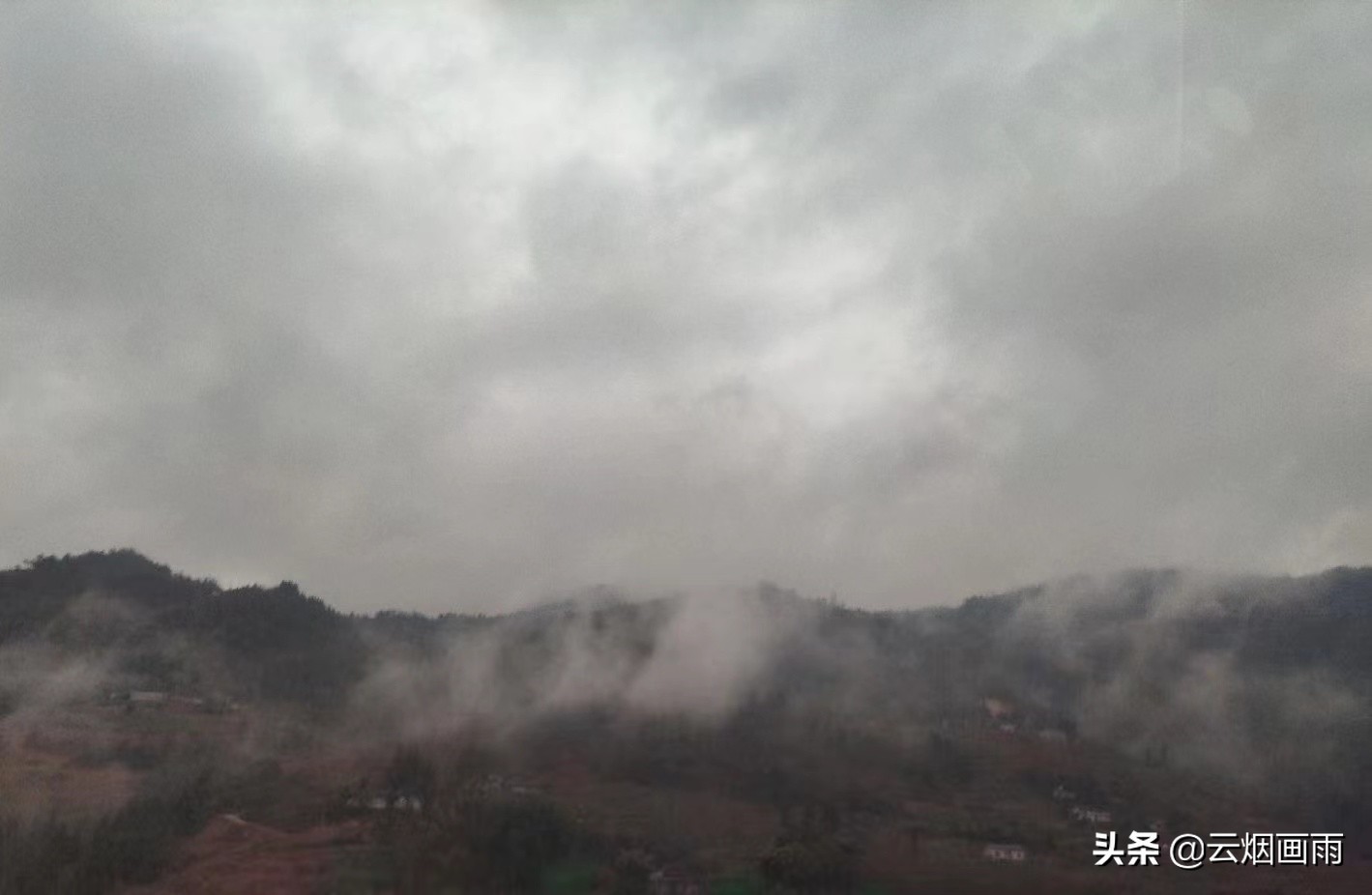 每日一句今日打卡,每日一句打卡文案