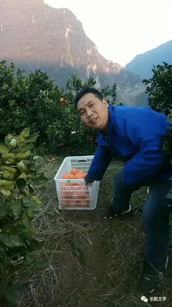 后皇嘉树吟诵,后皇嘉树注释