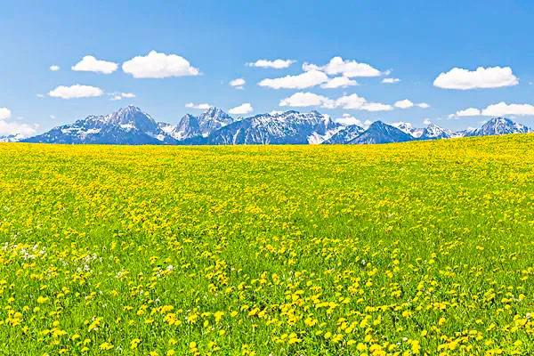 人生难得静心,人生难得清净心