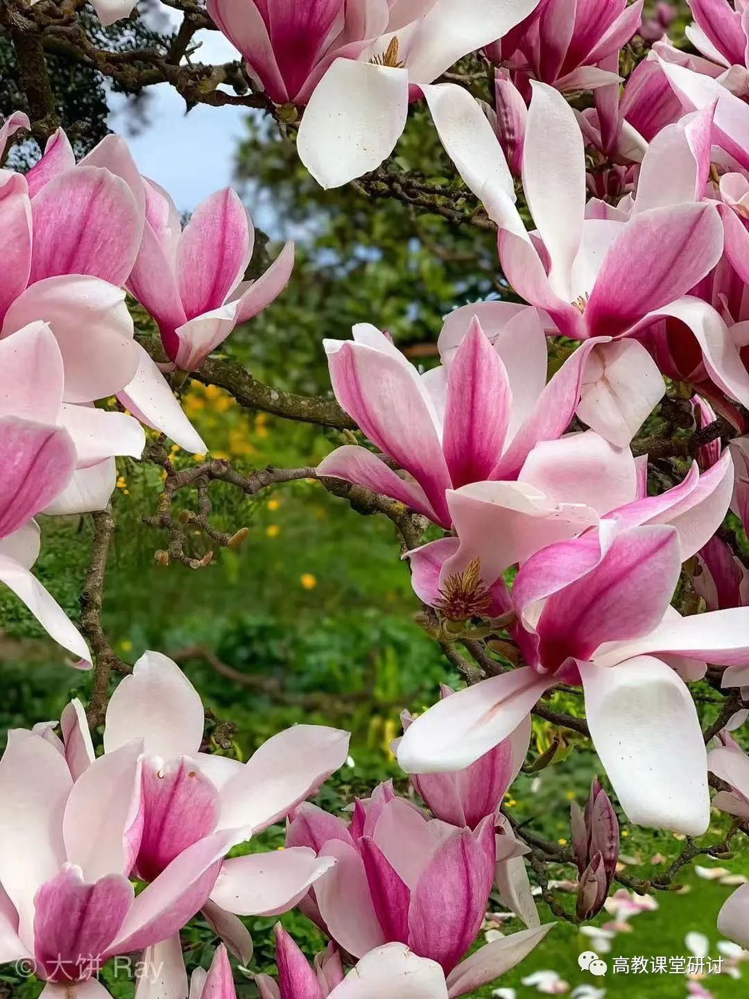 李心研：大学生如何克服学习焦虑