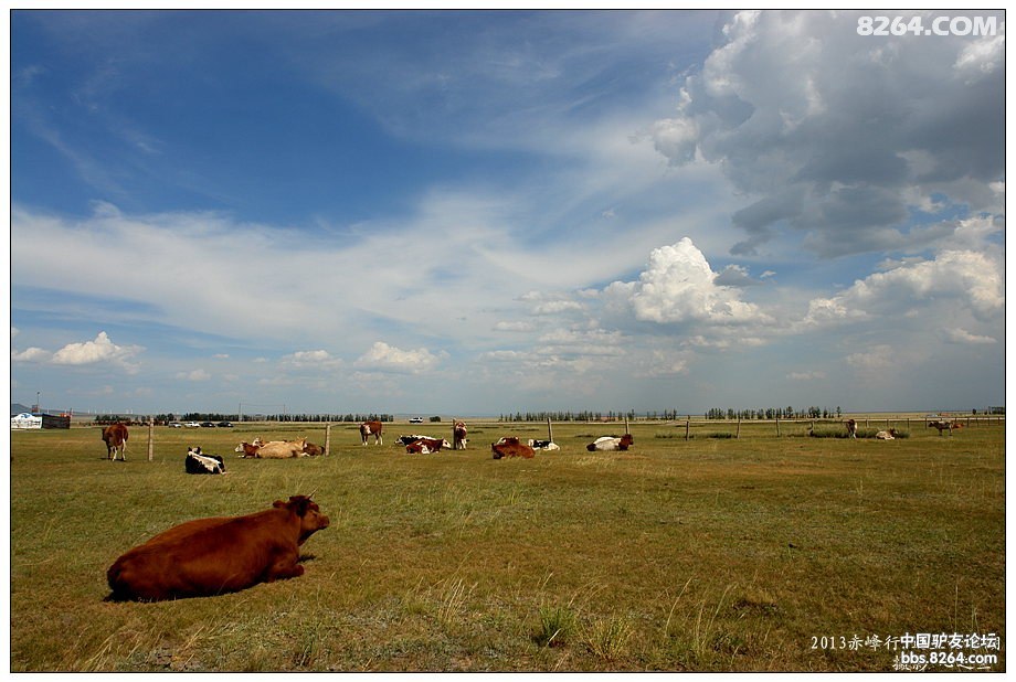 内蒙古自驾游达里诺尔,内蒙古达里诺尔湖旅游视频