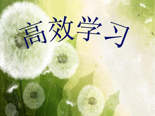 如何有效快速学习有效率,如何快速掌握高效的学习方法