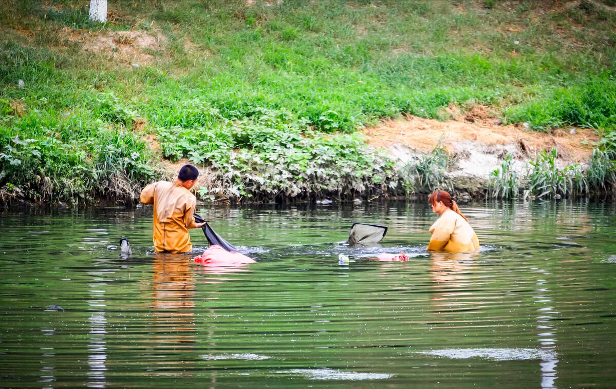 一天能捞100多斤!中国多地出现“捞虫族”,暴利下风险有多大?