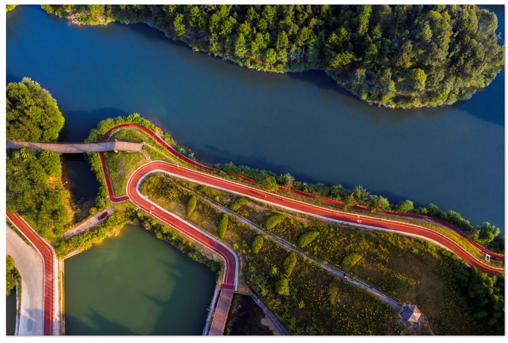 漫步山林空气清新,重庆森林步道
