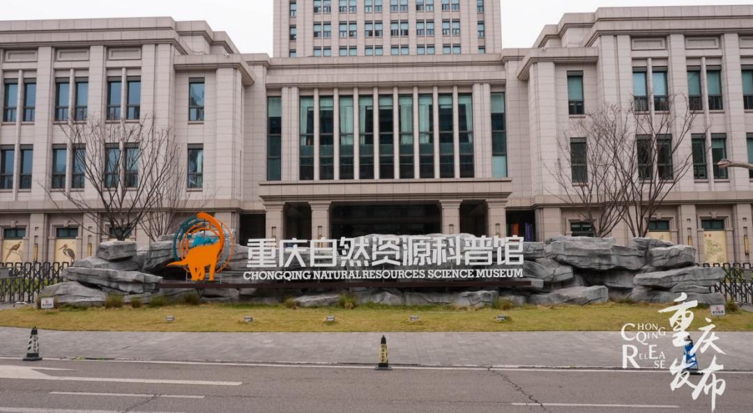 重庆自然资源科普馆有讲解吗,重庆自然资源科普馆一共几个馆