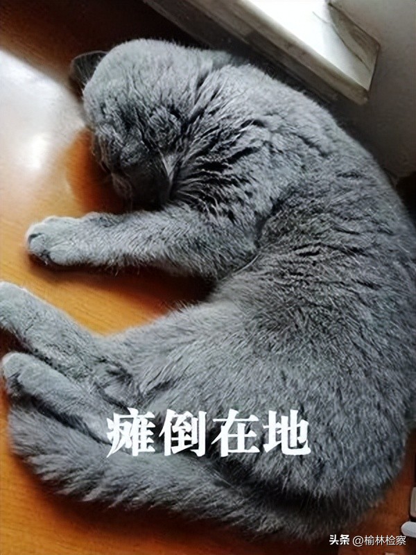 一人连续打441小时游戏被封,连续打游戏17小时被封号十年