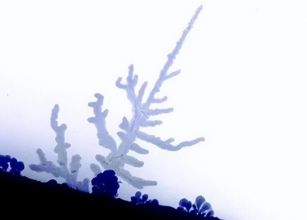 台湾固态电池辉能科技,辉能固态电池用什么材料