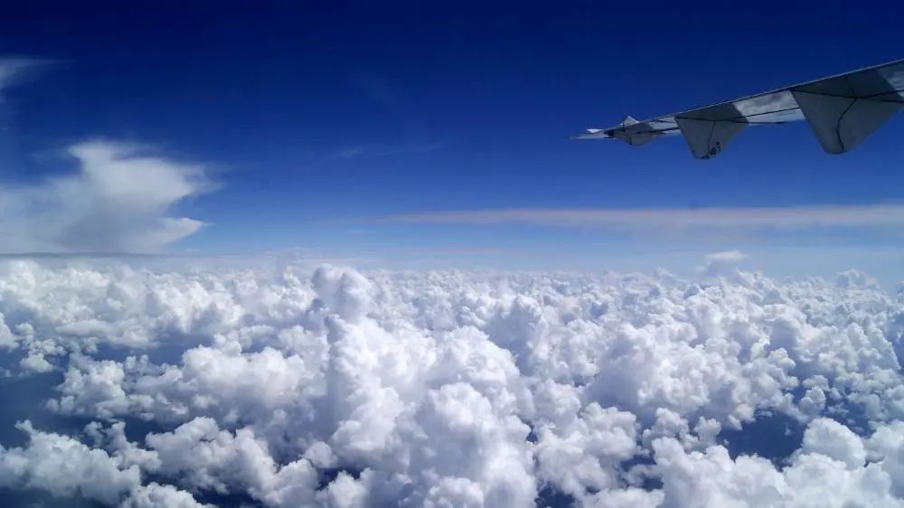 这个专业很特别：专业冷门，就业热门！