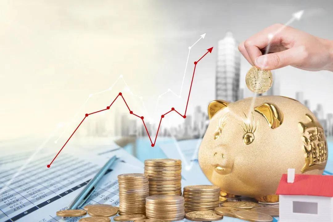 筹集创业资金方案,上市公司募集资金投资项目