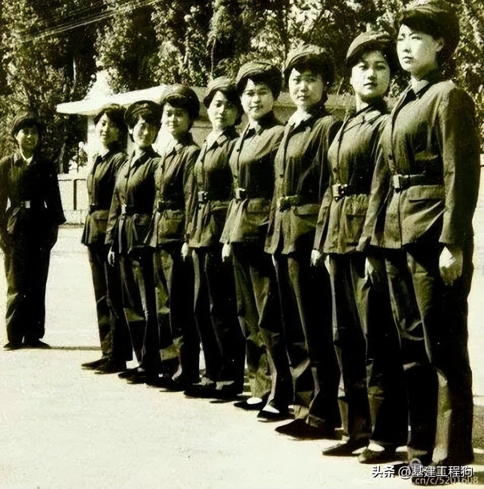 难忘啊老知青,基建工程兵31支队303团历史