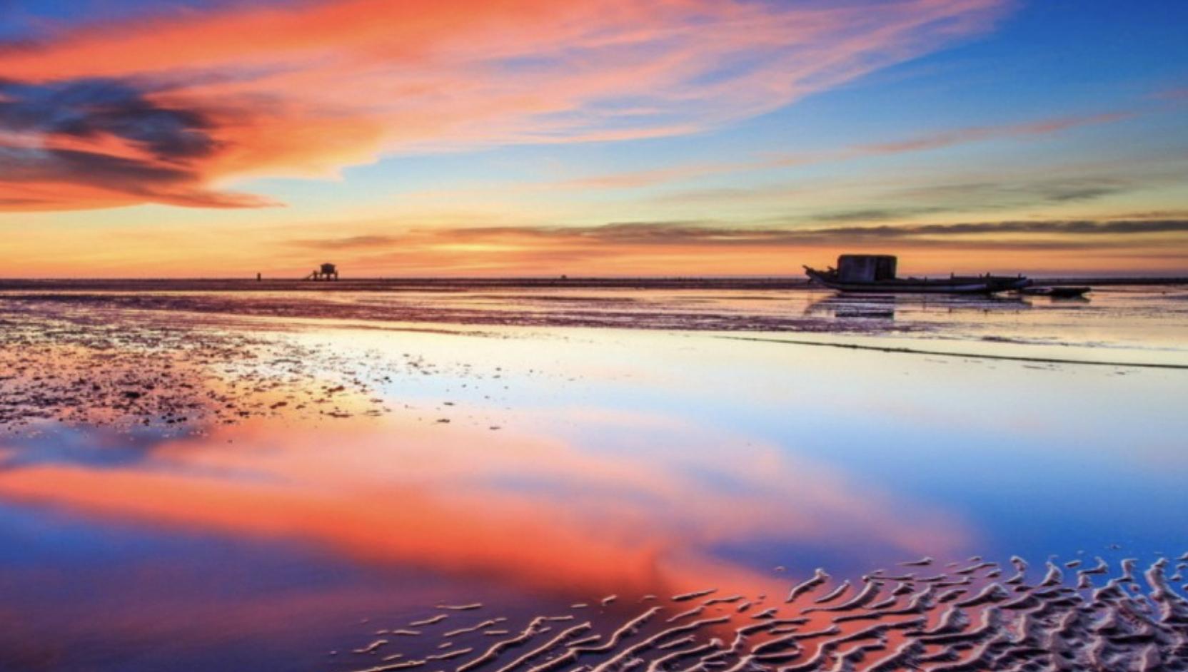 低调有能力甘于平凡的星座不炫耀,内心坦荡对人很少有防备心的星座