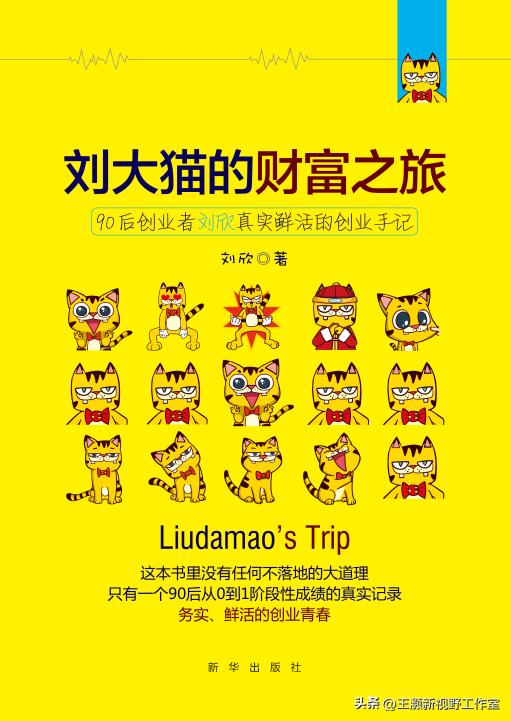 读高手刘大猫的书，有共鸣！程序员深度反思自己的淘宝客创业经历