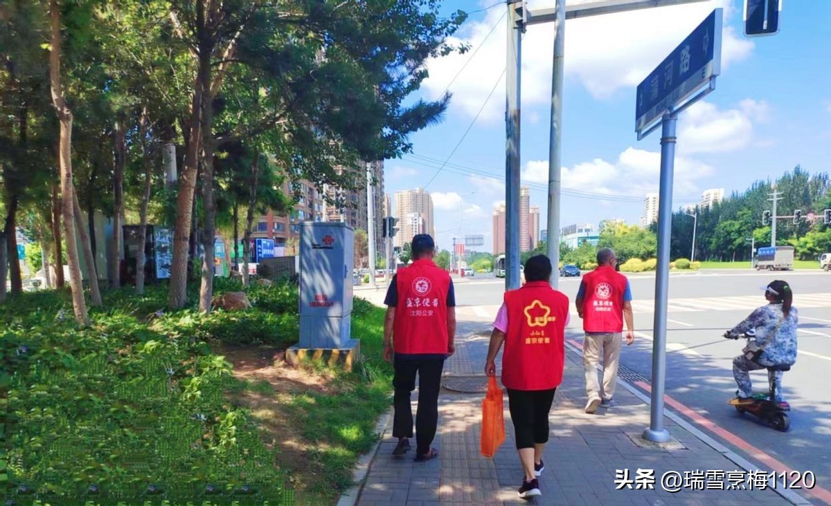 社区志愿者助力基层治理项目名称,壮大志愿者队伍助力社区治理创新