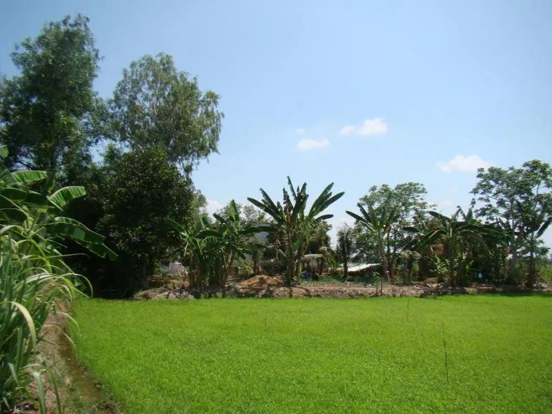 越南娶妻需要什么手续,在越南怎么娶妻生子