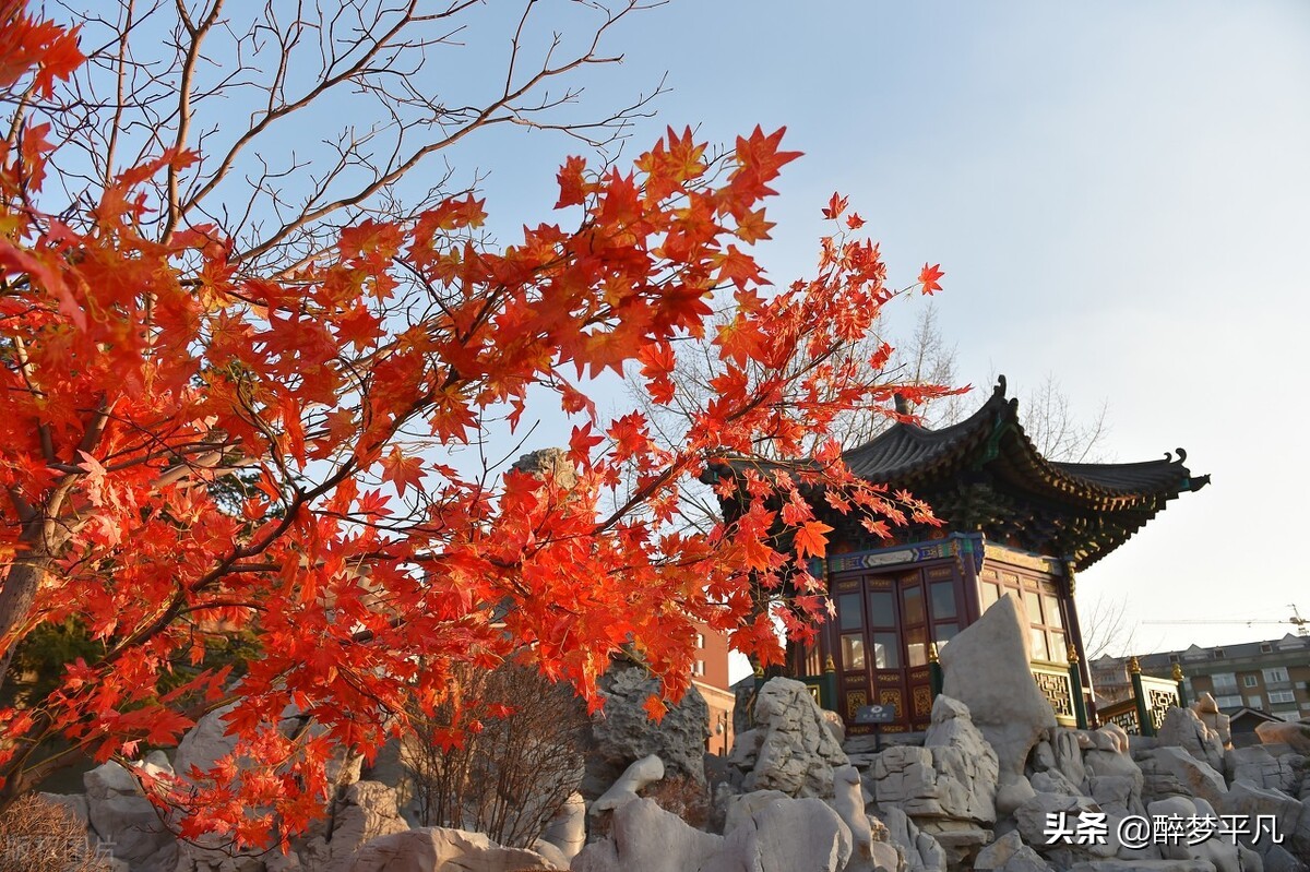 沈阳植物园沈阳世博园,沈阳世博园和植物园区别
