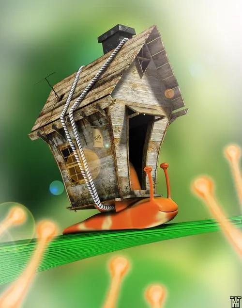 蜗牛壁纸高清全屏无水印,蜗牛壁纸手机超清全面屏