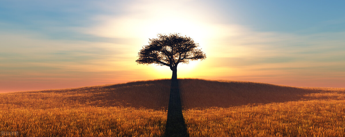 两年前,这篇高考作文引起了文坛地震