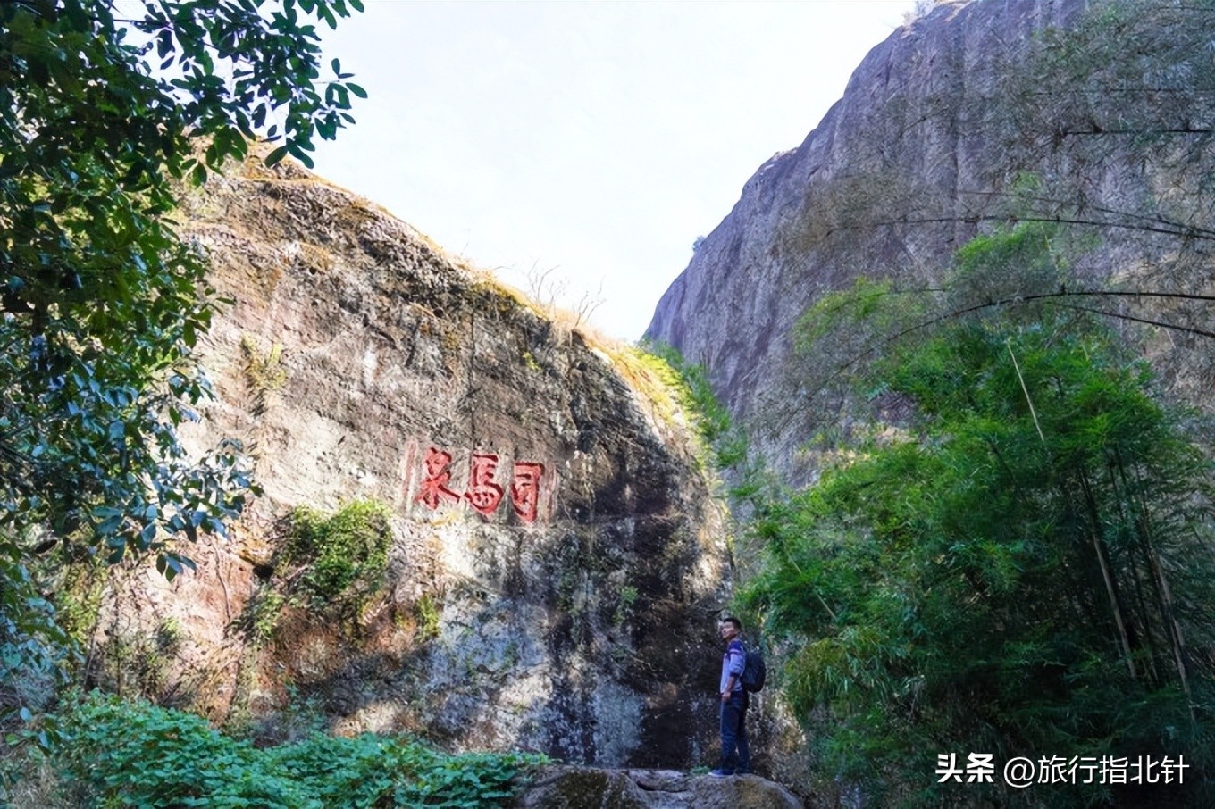 福建旅游攻略武夷山,福建武夷山旅游攻略一日游