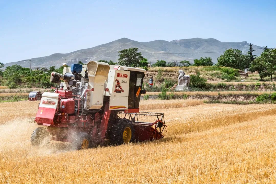 返乡创业90后四子王旗新农人,新农人80后返乡创业政策