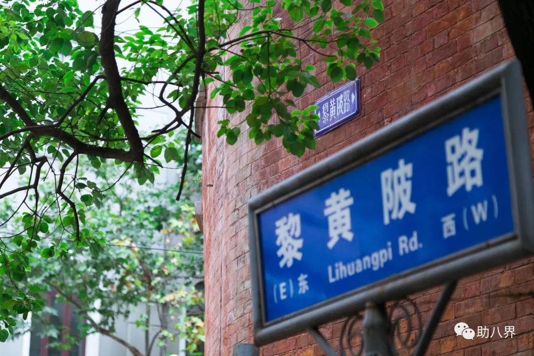 武汉十大旅游景点排名,武汉江夏网红打卡景点大全