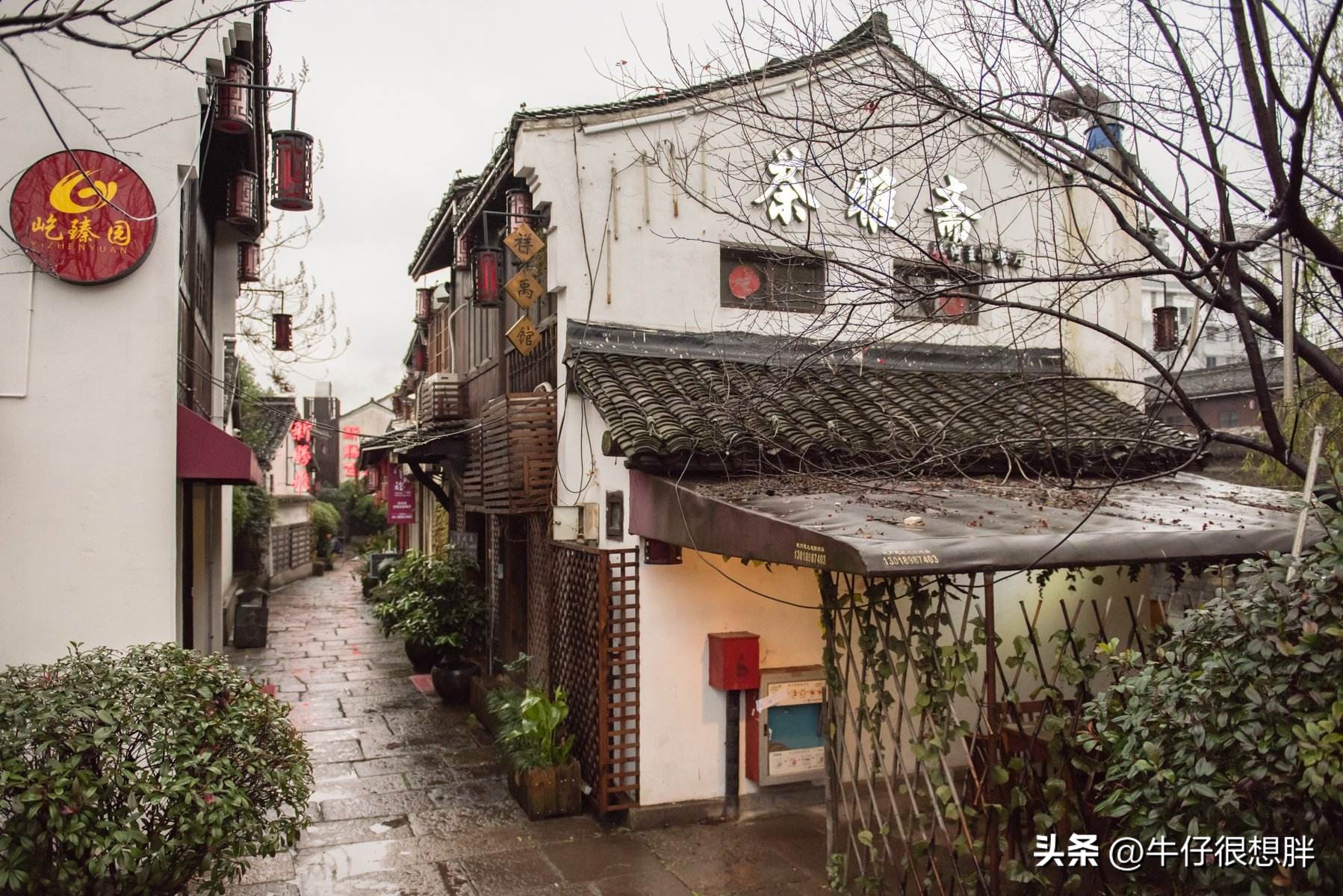 杭州西湖可以吃饭的景点,杭州西湖十大景点之一飞来峰