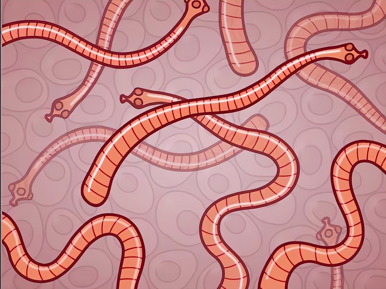 警惕食物寄生虫感染听听专家建议,5种食物易含寄生虫最好不要生吃