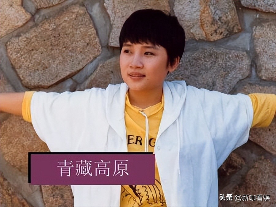 歌手李娜出家后还俗了吗,歌手李娜当年为什么出家