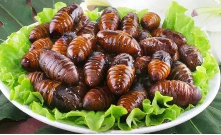 男人大补食材大全及功效,男人应该吃哪些食物大补