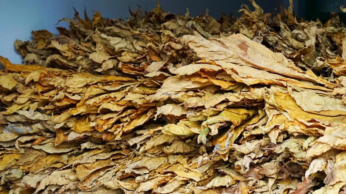 比真烟好抽的云霄烟,最出名的假烟制造