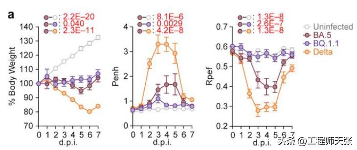奥密克戎加速变异，地狱犬BQ.1.1来了！传染力致病力免疫逃逸咋样