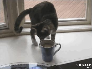 鑷粠鍏讳簡鐚氨鍐嶄篃娌℃湁涔拌繃琛ｆ湇,鑷粠鍏讳簡鐚氨娌＄粰鑷繁涔拌繃闆堕