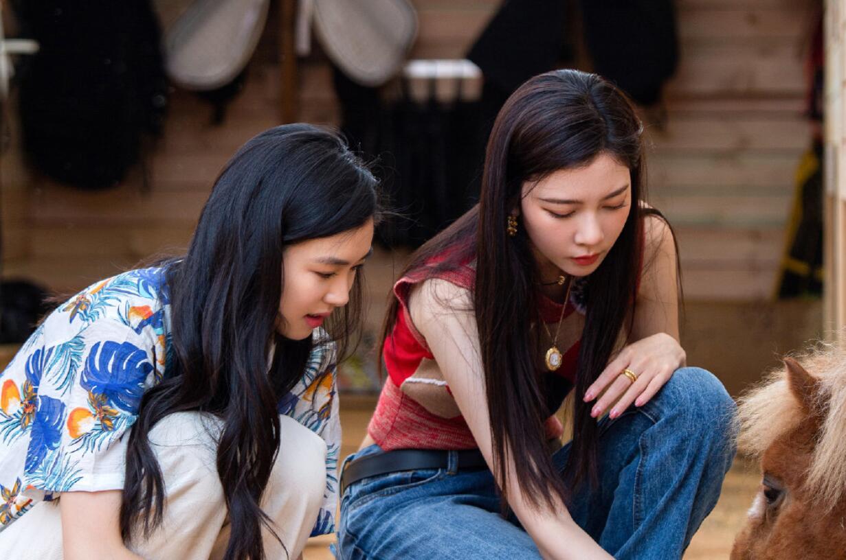 宋丹丹离开后才发现《桃花坞》的嘉宾有多假，包括反内卷的李雪琴