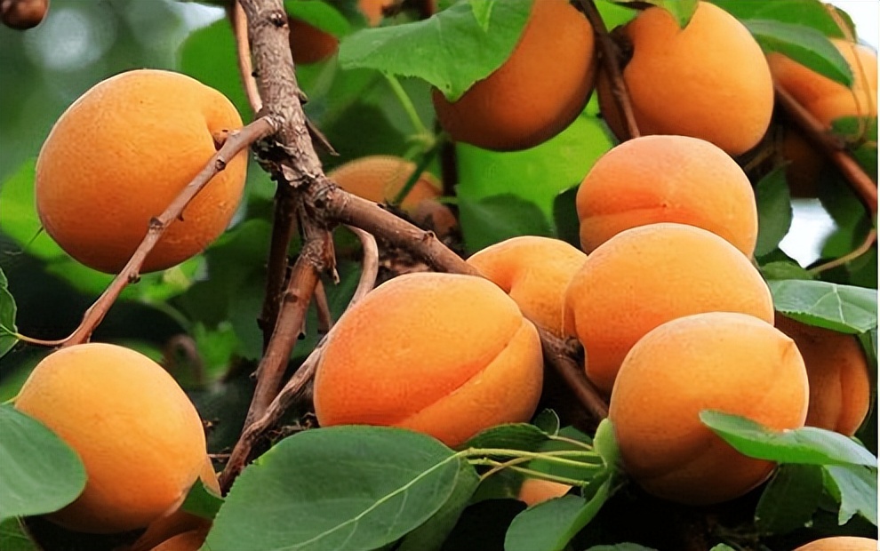 汶川是哪天呢,汶川大地震的威力到底有多强大呢