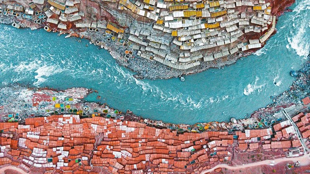 林芝花期预测,林芝桃花最佳观赏时间气温