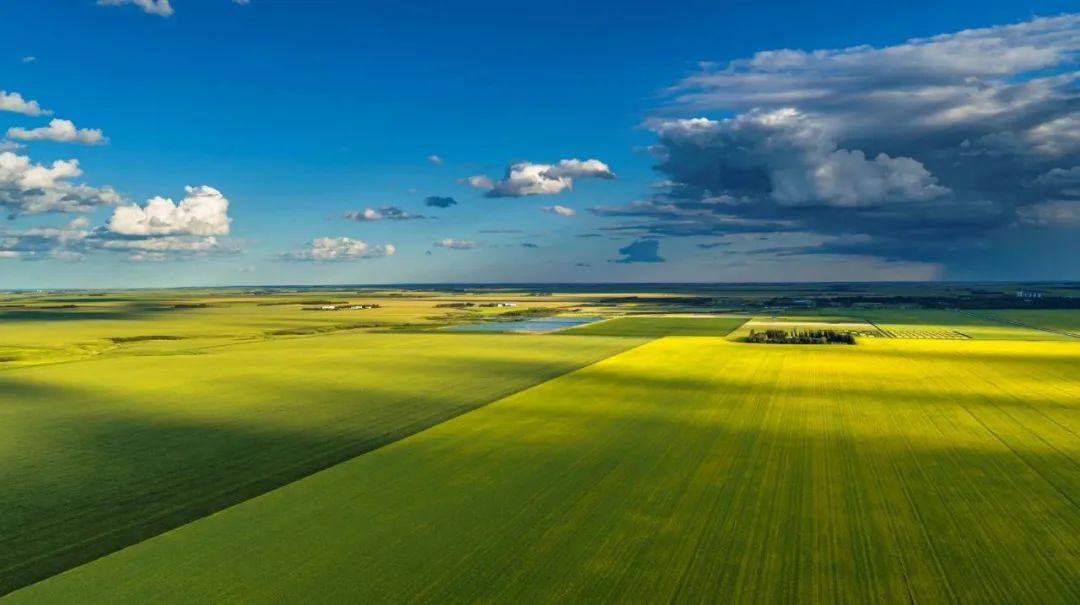 加拿大萨斯喀彻温省邮编,加拿大萨斯喀彻温省天气预报