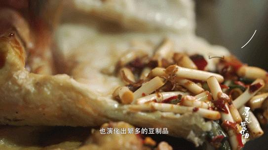 贵州避暑胜地免门票,贵州夏天去避暑10个收藏级打卡地